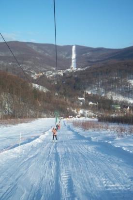 Земельна ділянка в с. Синяк