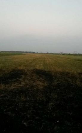 3,30 га при центральній дорозі в с. Строжниця